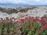 Kaikoura  &ndash; &copy; Heike Jack (Eberhardt TRAVEL)