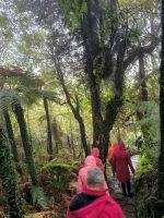 Im Regenwald &ndash; &copy; Heike Jack (Eberhardt TRAVEL)