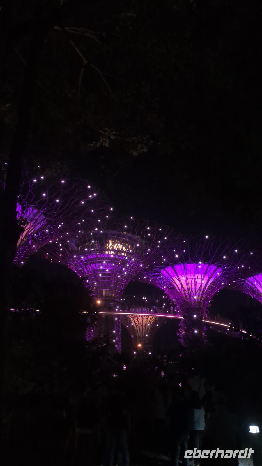 Lightshow Garden Rhapsodie Show Supertrees &ndash; &copy; Geena Dutschmann (Eberhardt TRAVEL)