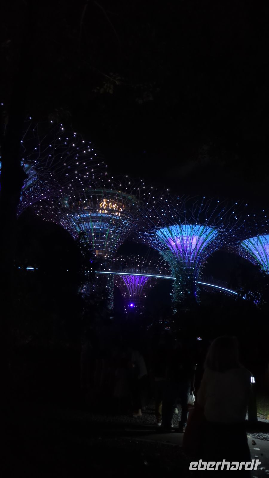 Lightshow Garden Rhapsodie Show Supertrees &ndash; &copy; Geena Dutschmann (Eberhardt TRAVEL)