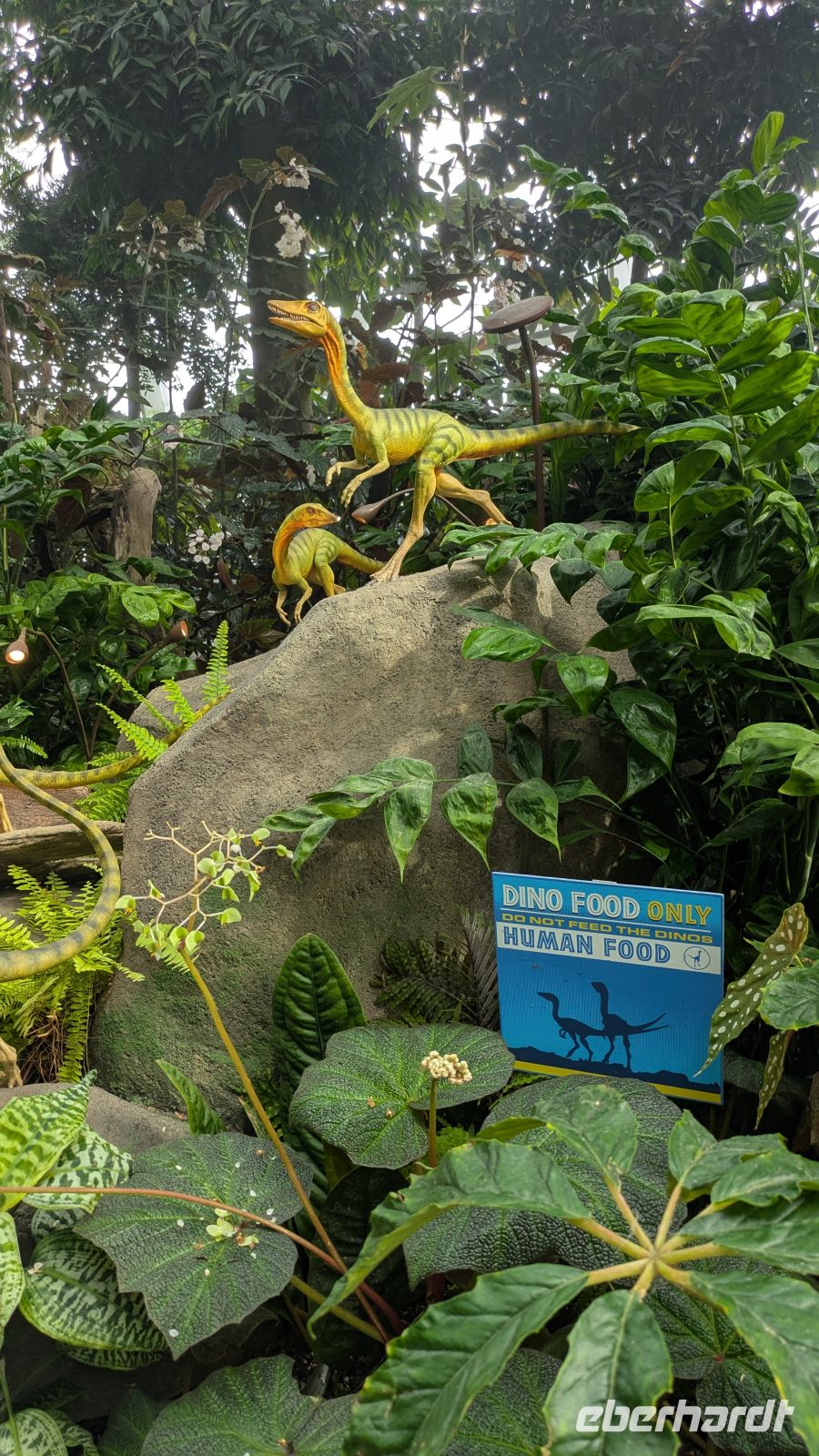 Cloud Forest - Jurassic World The Experience &ndash; &copy; Geena Dutschmann (Eberhardt TRAVEL)