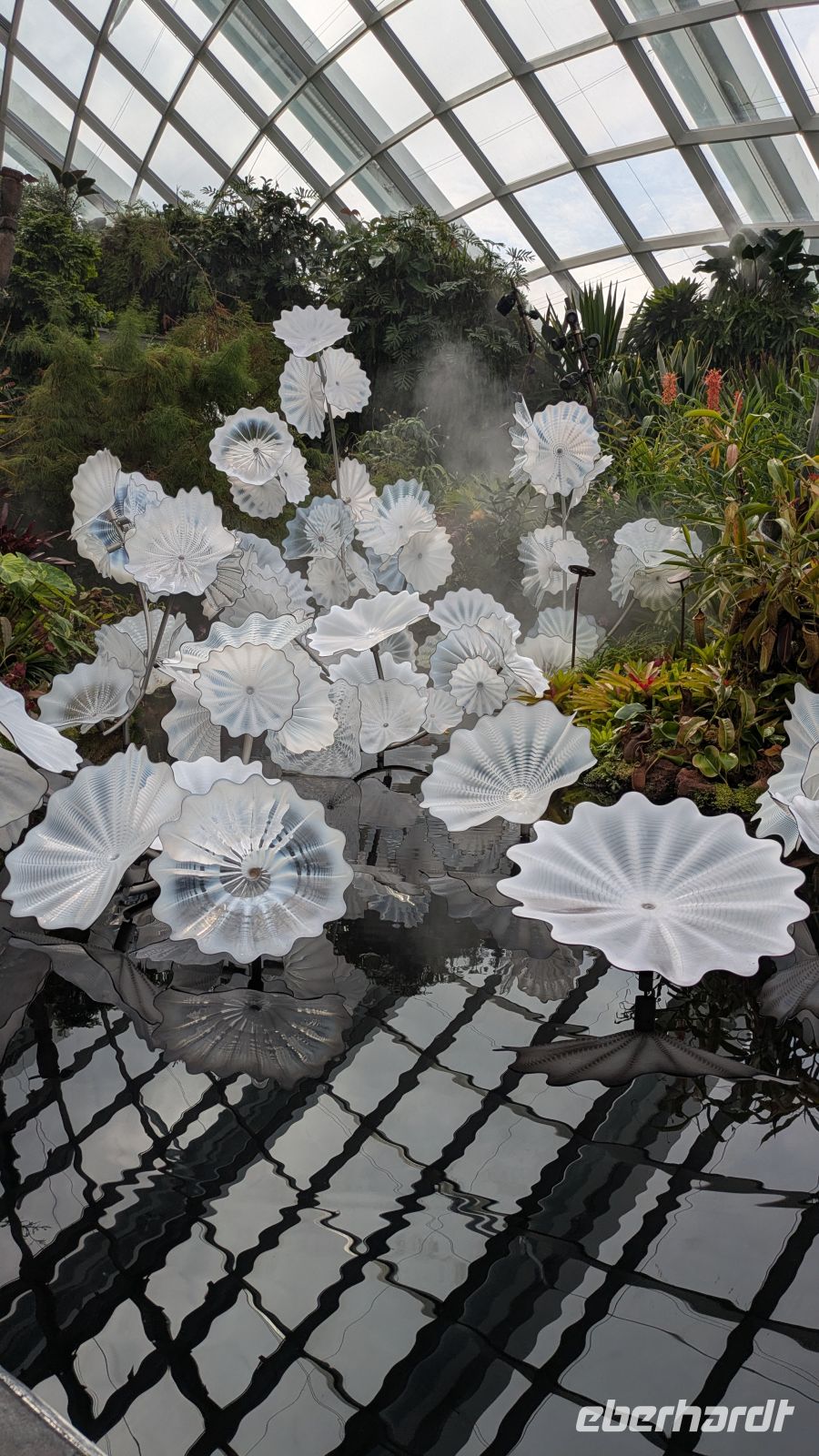 Cloud Forest  &ndash; &copy; Geena Dutschmann (Eberhardt TRAVEL)