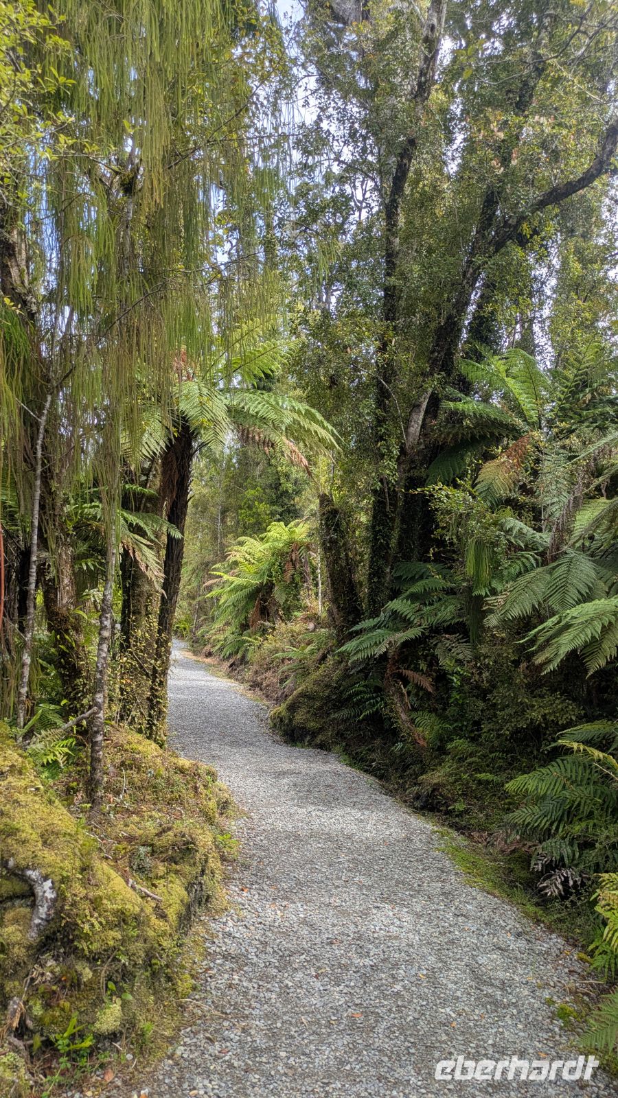 Tauparikaka Marine Reserve &ndash; &copy; Geena Dutschmann (Eberhardt TRAVEL)
