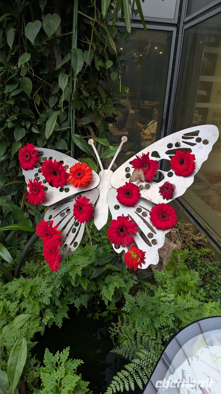 Butterfly Garden, Flughafen Singapur &ndash; &copy; Geena Dutschmann (Eberhardt TRAVEL)