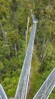 Baumwipfelpfad, Hokitika &ndash; &copy; Geena Dutschmann (Eberhardt TRAVEL)