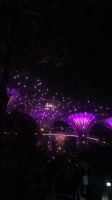 Lightshow Garden Rhapsodie Show Supertrees &ndash; &copy; Geena Dutschmann (Eberhardt TRAVEL)