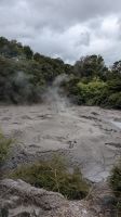 Schlammpool, Te Puia &ndash; &copy; Geena Dutschmann (Eberhardt TRAVEL)