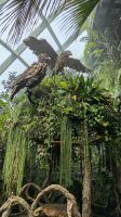 Cloud Forest - Jurassic World The Experience &ndash; &copy; Geena Dutschmann (Eberhardt TRAVEL)