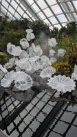 Cloud Forest  &ndash; &copy; Geena Dutschmann (Eberhardt TRAVEL)