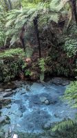 Maori Dorf &ndash; &copy; Geena Dutschmann (Eberhardt TRAVEL)