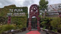 Te Puia &ndash; &copy; Geena Dutschmann (Eberhardt TRAVEL)
