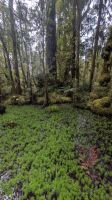 Tauparikaka Marine Reserve &ndash; &copy; Geena Dutschmann (Eberhardt TRAVEL)
