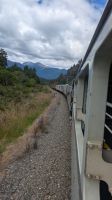 TranzAlpine-Zug  &ndash; &copy; Geena Dutschmann (Eberhardt TRAVEL)