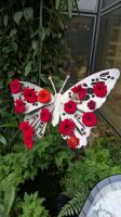 Butterfly Garden, Flughafen Singapur &ndash; &copy; Geena Dutschmann (Eberhardt TRAVEL)