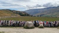 Cardrona Bra Fence &ndash; &copy; Geena Dutschmann (Eberhardt TRAVEL)