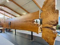 5. Tag: Auckland bis Paihia – Besuch des Kauri-Museums in Matakohe &ndash; &copy; Andreas Wolfsteller (Eberhardt TRAVEL)