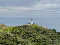 6. Tag: Tagesausflug zum Cape Reinga – Spaziergang zum Leuchtturm am Cape Reinga &ndash; &copy; Andreas Wolfsteller (Eberhardt TRAVEL)