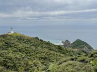 6. Tag: Tagesausflug zum Cape Reinga – Spaziergang zum Leuchtturm am Cape Reinga &ndash; &copy; Andreas Wolfsteller (Eberhardt TRAVEL)