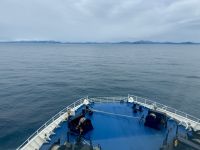 13. Tag: Wellington bis Kaikoura – Überfahrt mit der Fähre auf die Südinsel &ndash; &copy; Andreas Wolfsteller (Eberhardt TRAVEL)