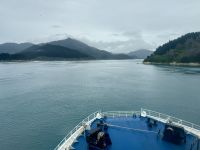 13. Tag: Wellington bis Kaikoura – Überfahrt mit der Fähre auf die Südinsel – Fahrt durch die Marlborough Sounds &ndash; &copy; Andreas Wolfsteller (Eberhardt TRAVEL)