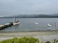 16. Tag: Dunedin bis Milford Sound – Mittagspause in Te Anau &ndash; &copy; Andreas Wolfsteller (Eberhardt TRAVEL)