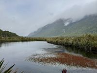 16. Tag: Dunedin bis Milford Sound – Kurzer Spaziergang zur den Mirror Lakes &ndash; &copy; Andreas Wolfsteller (Eberhardt TRAVEL)
