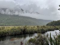 16. Tag: Dunedin bis Milford Sound – Kurzer Spaziergang zur den Mirror Lakes &ndash; &copy; Andreas Wolfsteller (Eberhardt TRAVEL)
