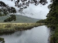 16. Tag: Dunedin bis Milford Sound – Kurzer Spaziergang zur den Mirror Lakes &ndash; &copy; Andreas Wolfsteller (Eberhardt TRAVEL)