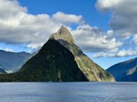 17. Tag: Milford Sound bis Queenstown – Bootstour durch den Milford Sound, Teil 2 &ndash; &copy; Andreas Wolfsteller (Eberhardt TRAVEL)