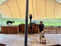18. Tag: Freizeit in Queenstown – Fahrt mit der TSS Earnslaw zur Walter Peak Station – Schafshow &ndash; &copy; Andreas Wolfsteller (Eberhardt TRAVEL)
