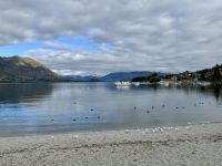 19. Tag: Queenstown bis Fox Glacier – Fotostopp am Lake Wanaka &ndash; &copy; Andreas Wolfsteller (Eberhardt TRAVEL)