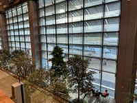 22. Tag: Beginn der Rückreise – Aufenthalt auf dem Changi Airport in Singapur &ndash; &copy; Andreas Wolfsteller (Eberhardt TRAVEL)