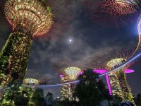 Supertrees &ndash; &copy; Mariele Legler (Eberhardt TRAVEL)