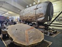 Kauri Museum 1 &ndash; &copy; Mariele Legler (Eberhardt TRAVEL)