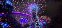 05 Super tree Garden rapsody &ndash; &copy; Susanne Schirmann (Eberhardt TRAVEL)