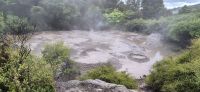 110 Te Puia &ndash; &copy; Susanne Schirmann (Eberhardt TRAVEL)
