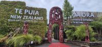 116 Te Puia &ndash; &copy; Susanne Schirmann (Eberhardt TRAVEL)