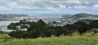 131 Mount Victoria mit Blick auf Wellington &ndash; &copy; Susanne Schirmann (Eberhardt TRAVEL)