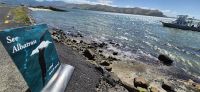 210 auf zu den Albatrossen &ndash; &copy; Susanne Schirmann (Eberhardt TRAVEL)