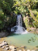 Waiau Falls &ndash; &copy; Monika Cortese (Eberhardt TRAVEL)