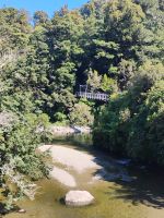 Kaitoke Regional Park &ndash; &copy; Monika Cortese (Eberhardt TRAVEL)