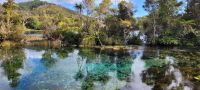 Te Waikoropupū Springs &ndash; &copy; Monika Cortese (Eberhardt TRAVEL)