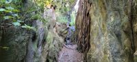 Grove Scenic Reserve &ndash; &copy; Monika Cortese (Eberhardt TRAVEL)