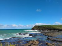 Curio Bay &ndash; &copy; Monika Cortese (Eberhardt TRAVEL)