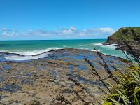 Curio Bay &ndash; &copy; Monika Cortese (Eberhardt TRAVEL)