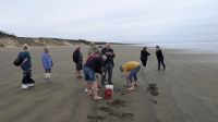 20260226_4 Sandmuscheln suchen.....jpg &ndash; &copy; Michael Rass (Eberhardt TRAVEL)