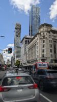20260227_7 Auckland.jpg