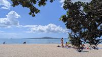 20260227_12 Missions Bay in Auckland.jpg &ndash; &copy; Michael Rass (Eberhardt TRAVEL)