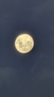 20260302_19 Guter Mond , du gehst so stille....jpg