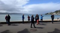 20260303_12 Wellington Sandstrand.jpg &ndash; &copy; Michael Rass (Eberhardt TRAVEL)